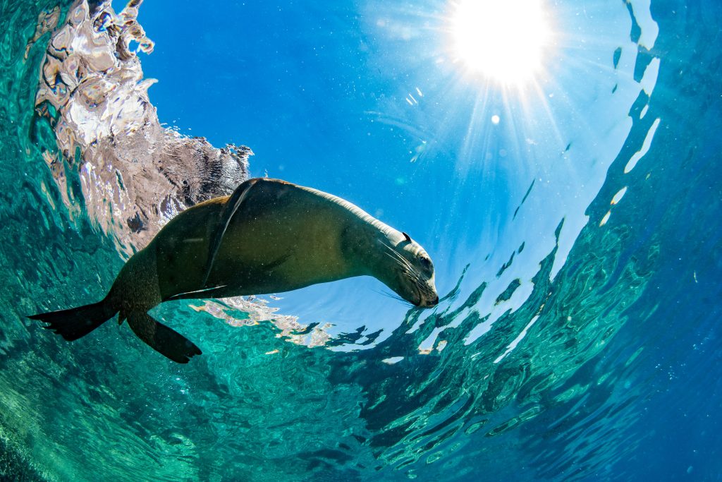 Ecuador + Galapagos